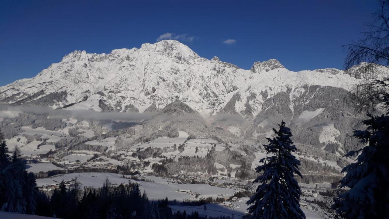 Appartement Leni Leogang Dış mekan fotoğraf